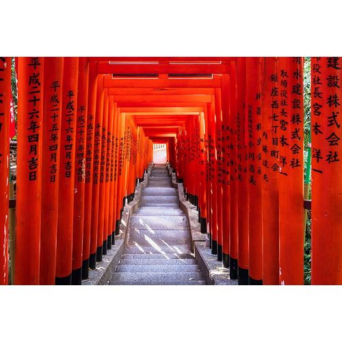 Famous Torii-or gates of the entrance to the Hie Shrine in Tokyo-Japan